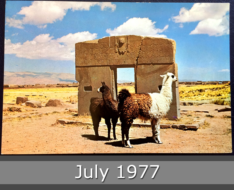 Project Postcard July 1977 Llama in Colombia