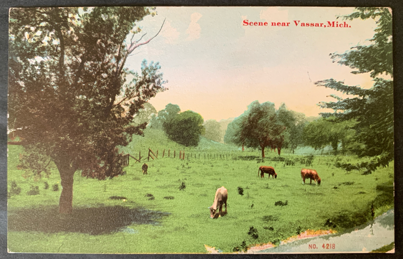 Postcard November 1911 - A meadow near Vassar in Michigan with cows