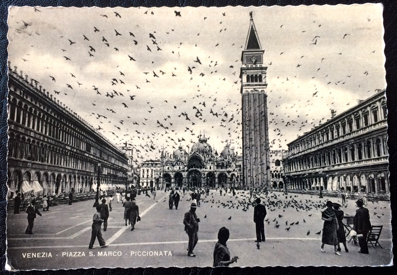 Project Postcard June 1952 Venice Piazza San Marco