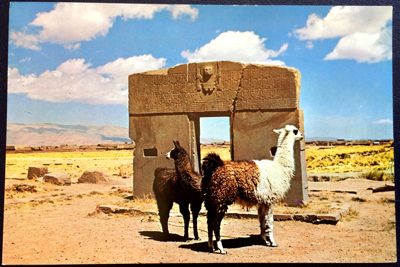 Project Postcard July 1977 Llama in Bolivia front