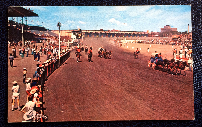 Project Postcard March 1963 - The famous Chuck Wagon Races in Calgery, Alberta, Canada